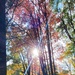 2020 Fall Views at Fort McCoy's Pine View Recreation Area