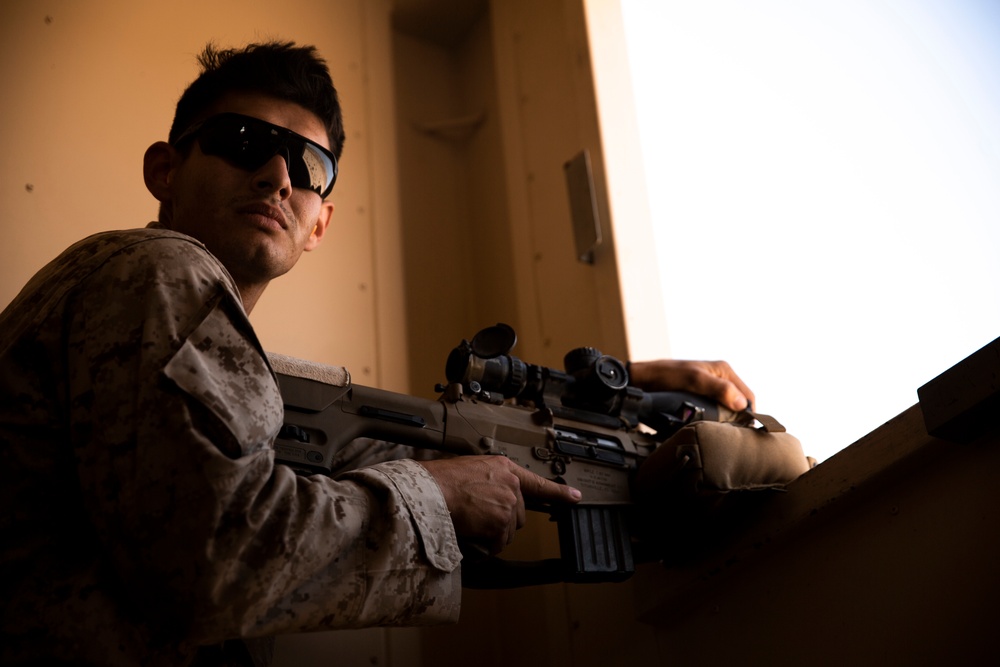 3d Reconnaissance Battalion Fire Sniper Rifles During SLTE 1-21