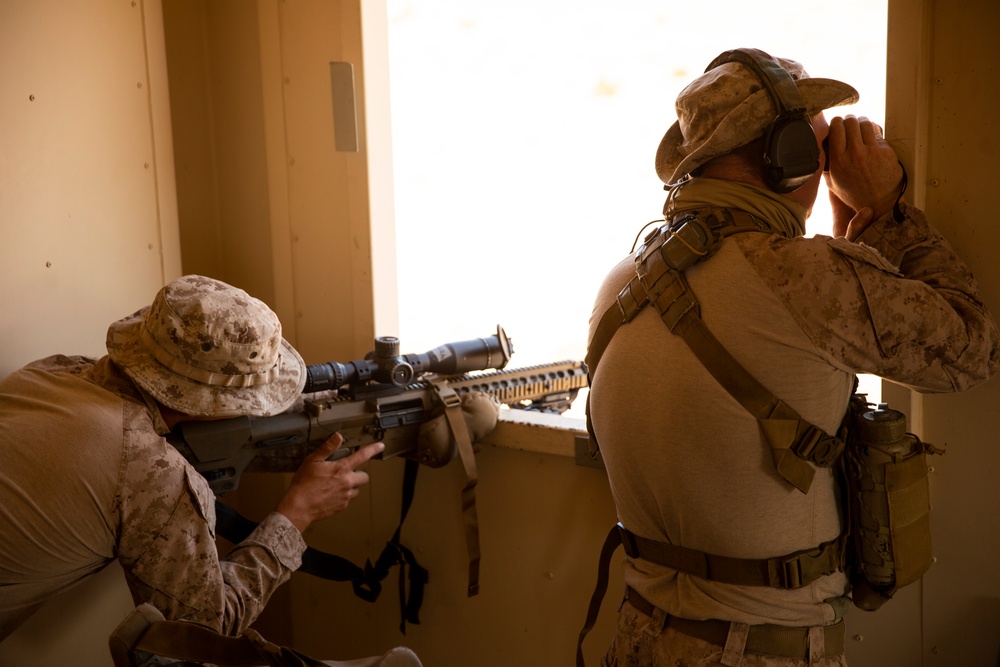 3d Reconnaissance Battalion Fire Sniper Rifles During SLTE 1-21