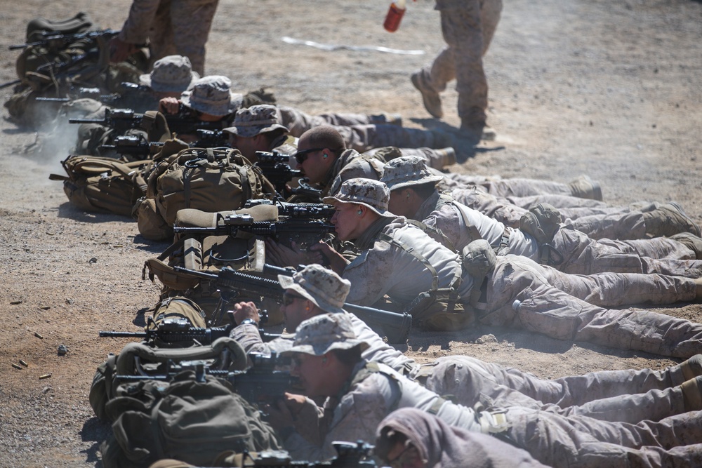 Reconnaissance Marines Battle Sight Zero