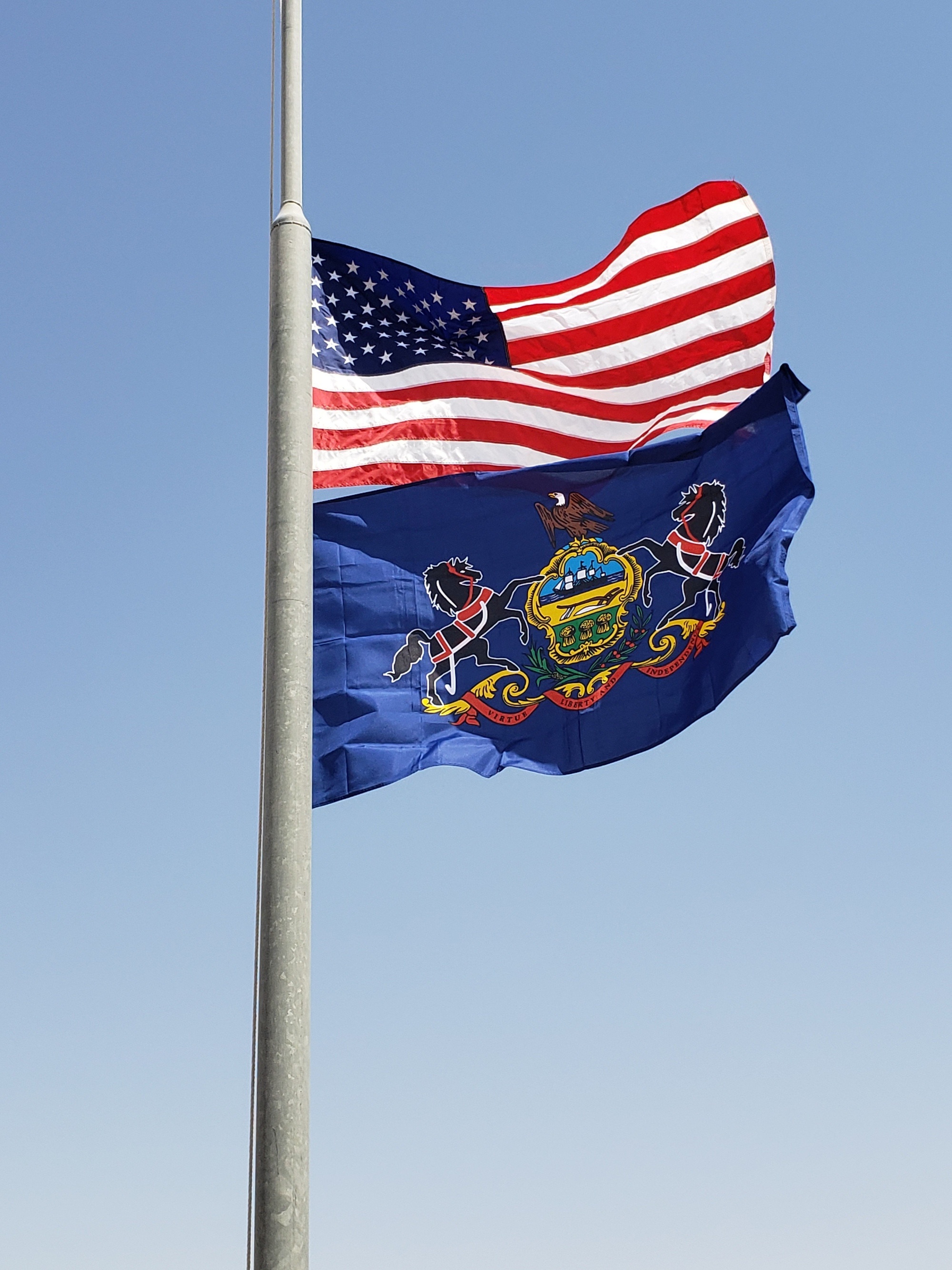 DVIDS - Images - Raising the PA flag [Image 2 of 2]