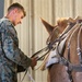 CLB-2 Animal Packing Course