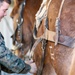 CLB-2 Animal Packing Course
