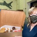 Cakes for Causes