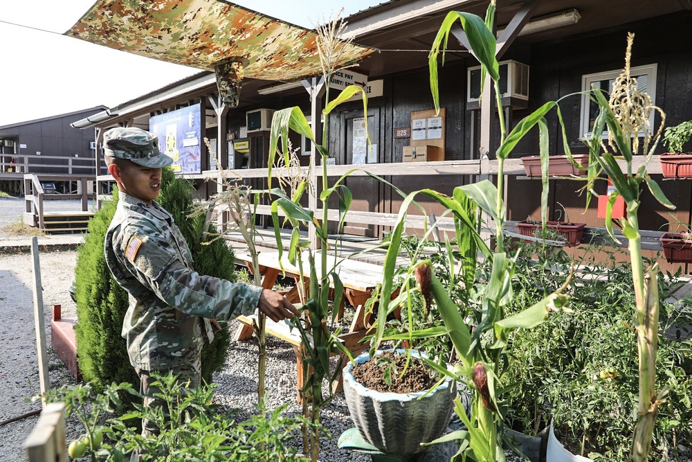 Garden to table; Soldier channels resiliency through cooking