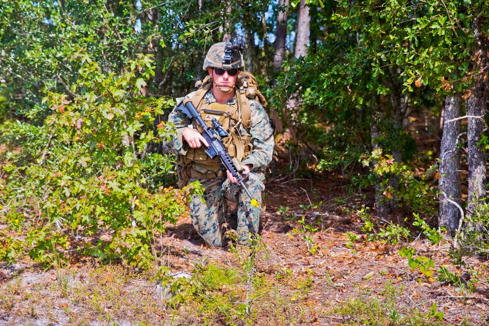 1/8 Marines Conduct Air Trap Mission