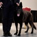 Military Working Dog retirement at Aviano