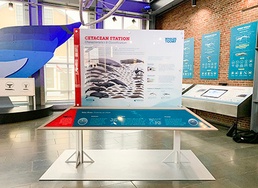 NUWC Division Newport shares marine mammal research with New Bedford Whaling Museum