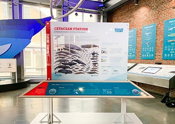 NUWC Division Newport shares marine mammal research with New Bedford Whaling Museum