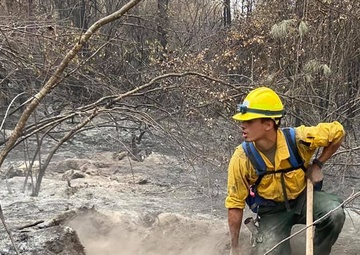 WADS Airman volunteers for state COVID relief, unemployment processing and wildfire response