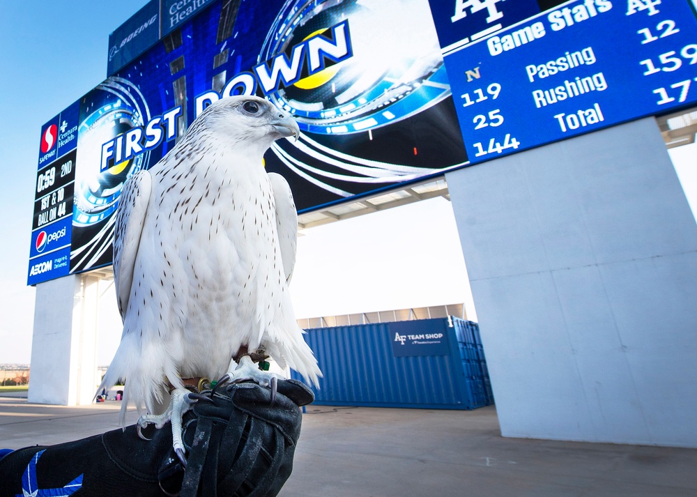 Air Force Football vs. Navy 2020