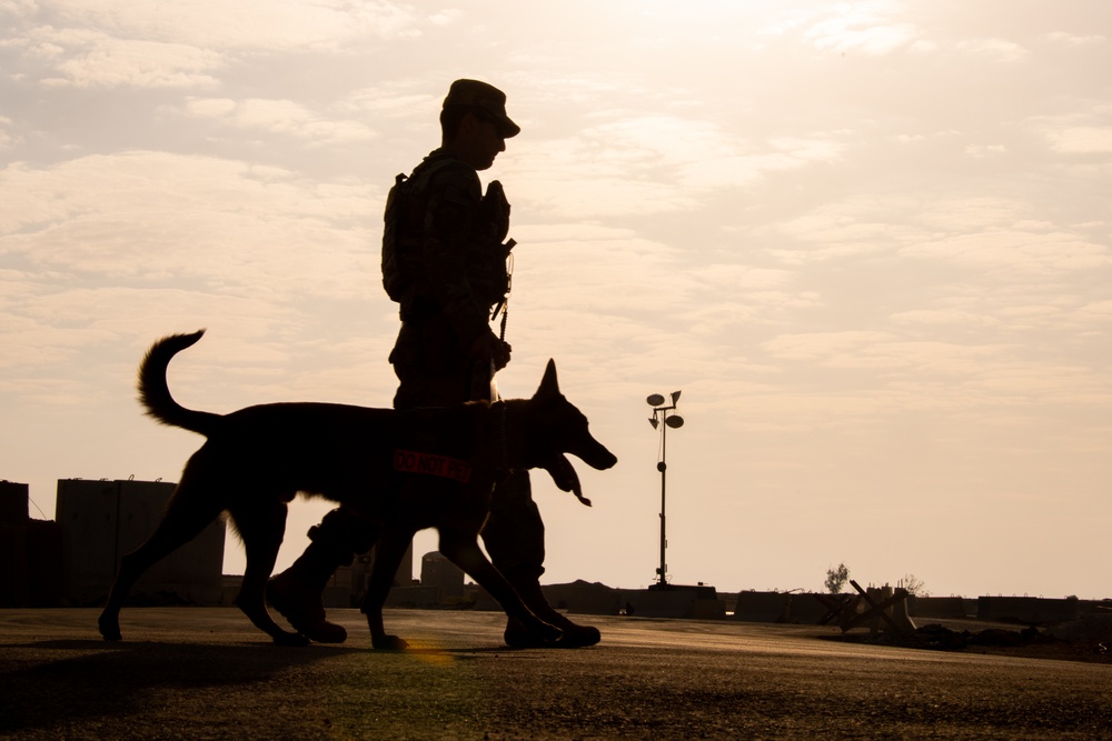 Working Dog Patrols VSA