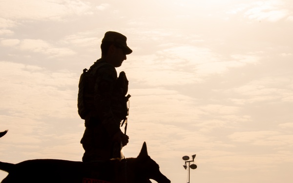 Working Dog Patrols VSA