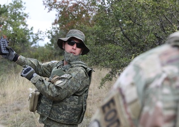 KFOR RC-E conducts joint demolition, observes KSF EOD certification