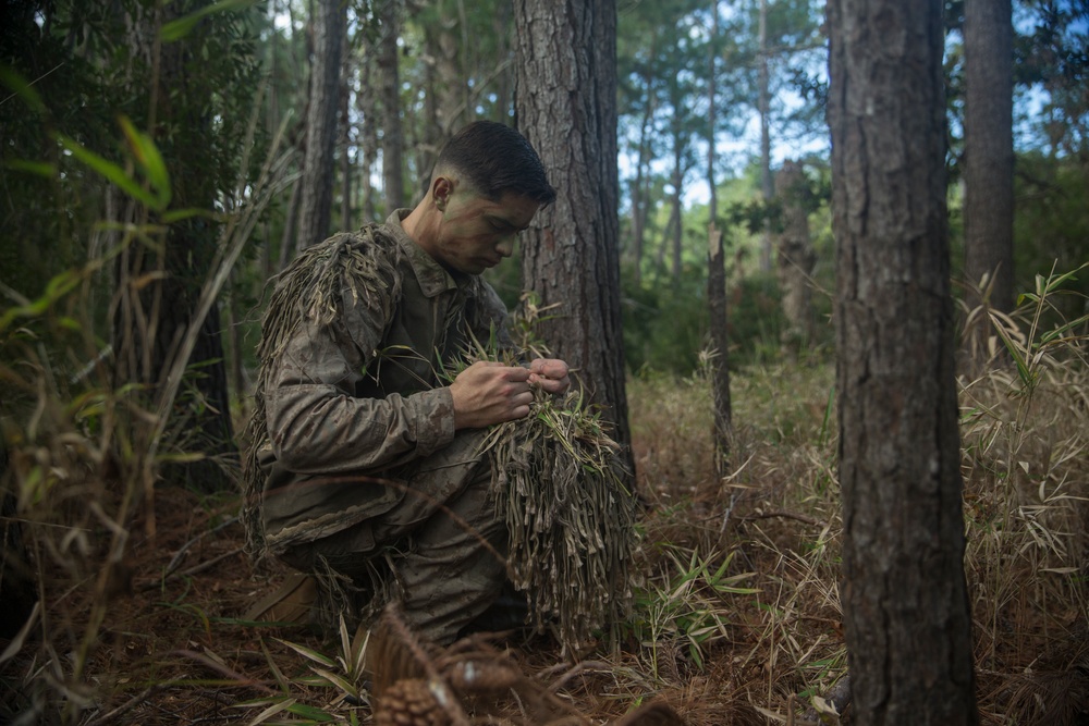 2d MARDIV Motivator of the Week: Hiding In The Tall Grass