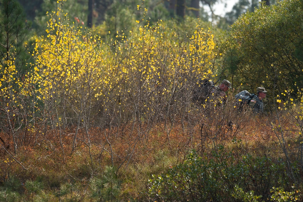 Autumn Training