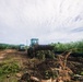 Seabees Clear the Way for Tinian Road Construction