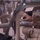 Forward Arming and Refueling Point
