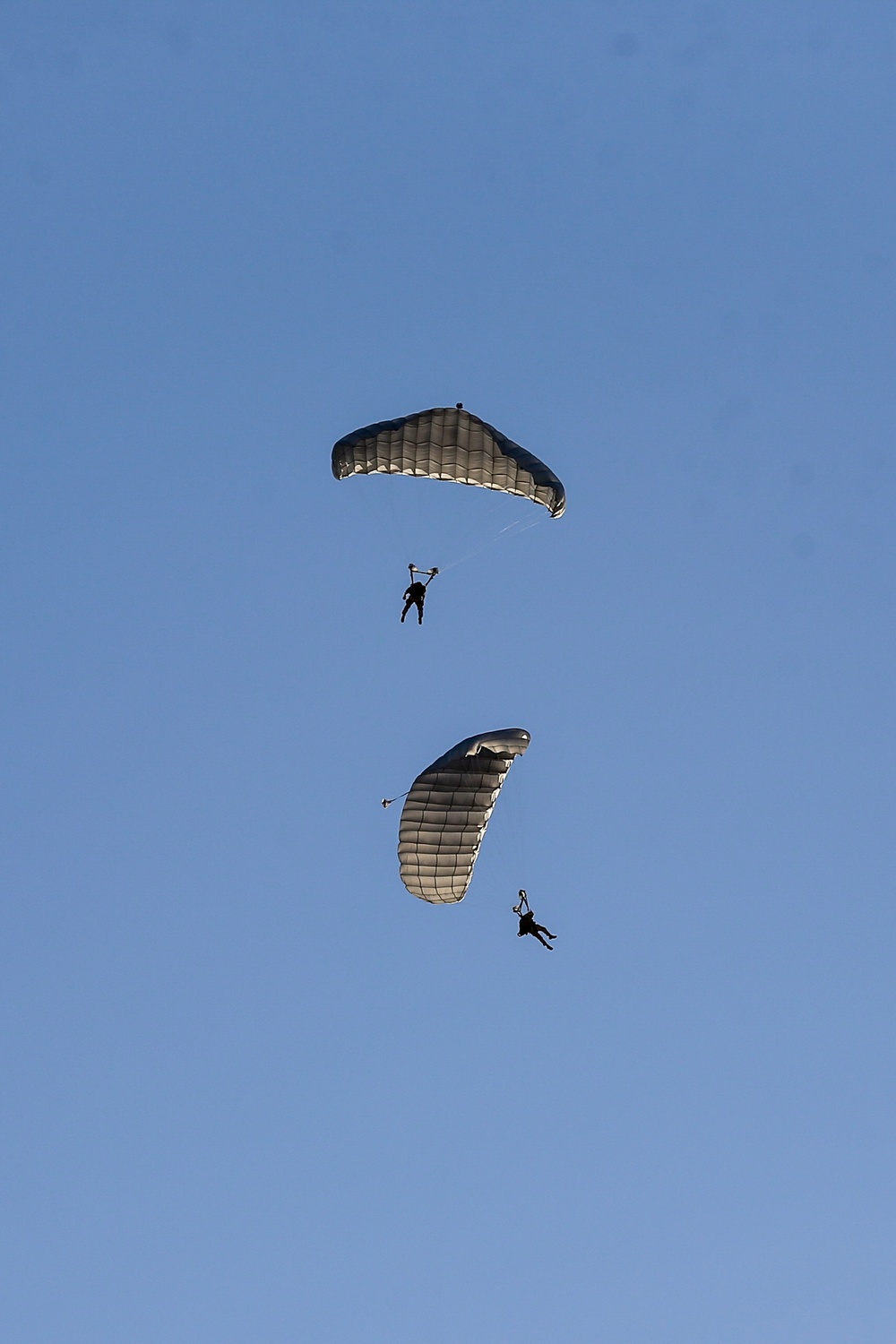 TSB Marines conduct aerial delivery and military freefall