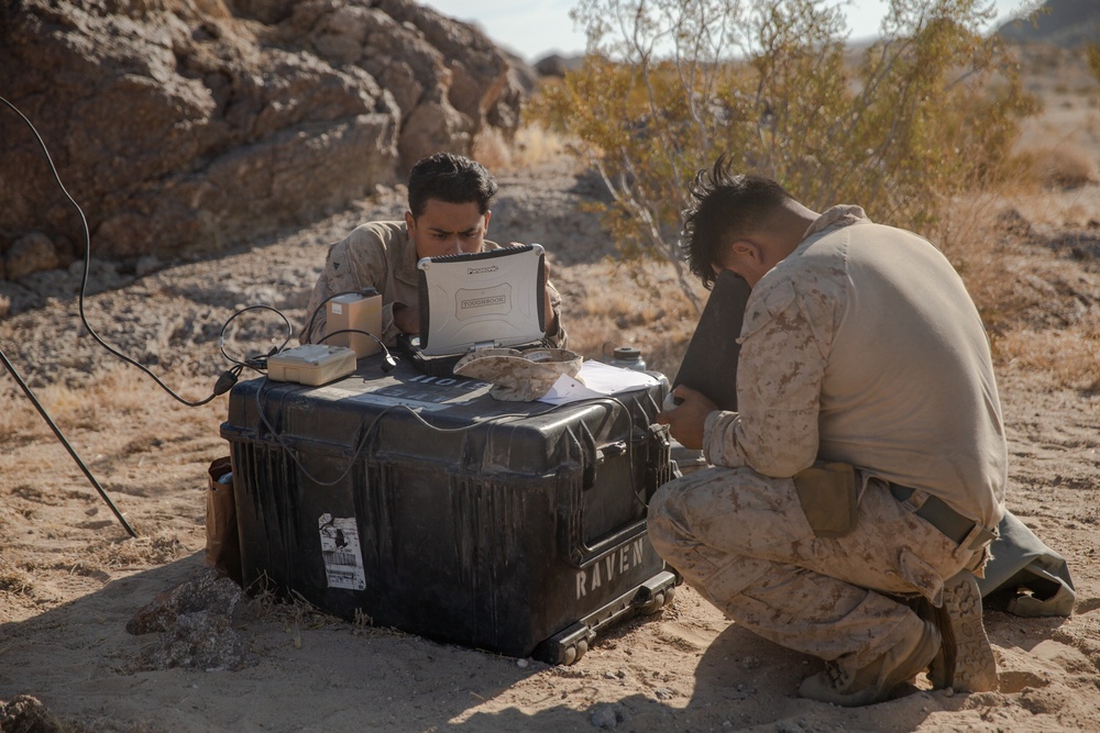 3rd LAR participates in Integrated Training Exercise