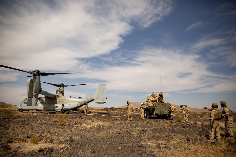 2d LAR and VMM-364 Conduct ADGR During SLTE 1-21