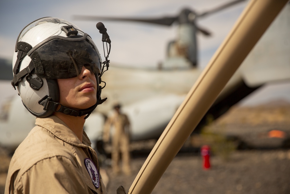 2d LAR and VMM-364 Conduct ADGR During SLTE 1-21