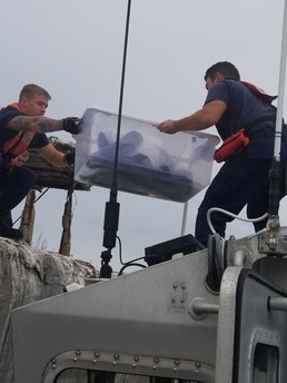 Coast Guard members, wildlife specialists help rescue injured pelican