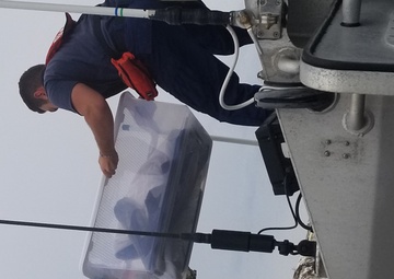 Coast Guard members, wildlife specialists help rescue injured pelican