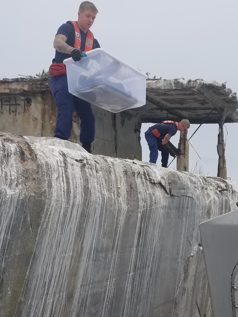 Coast Guard members, wildlife specialists help rescue injured pelican