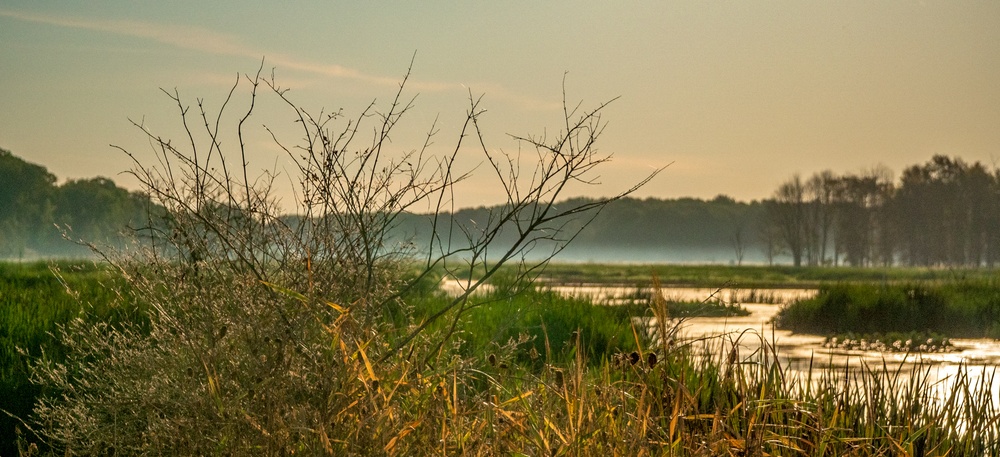 Mentor Marsh State Nature Preserve