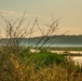 Mentor Marsh State Nature Preserve