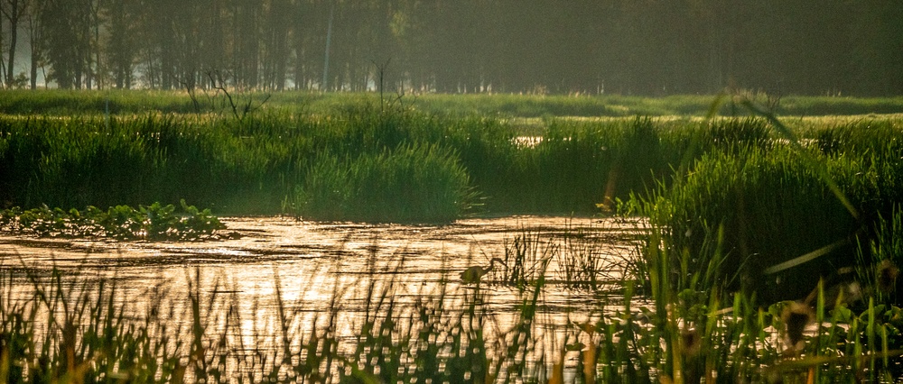 Mentor Marsh State Nature Preserve