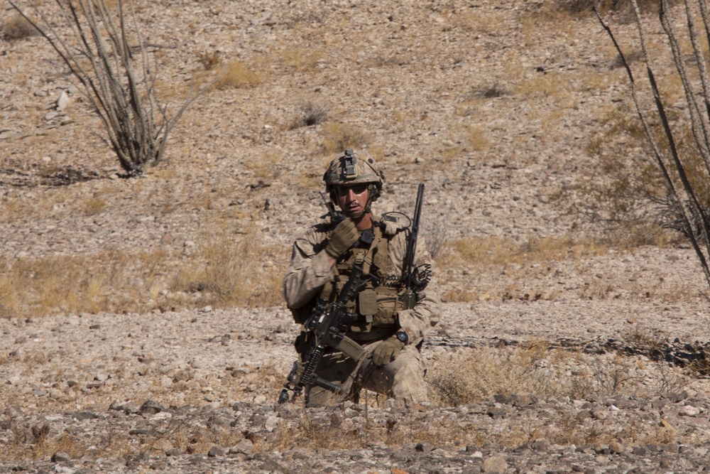 U.S. Marines participate in an insertion and extraction scenario