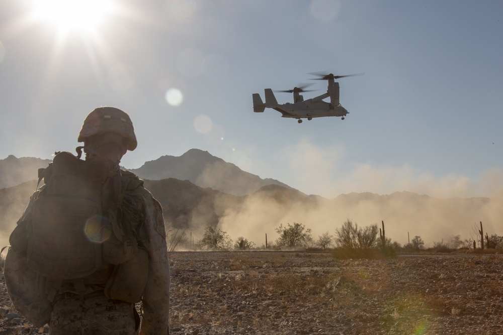 U.S. Marines participate in an insertion and extraction scenario