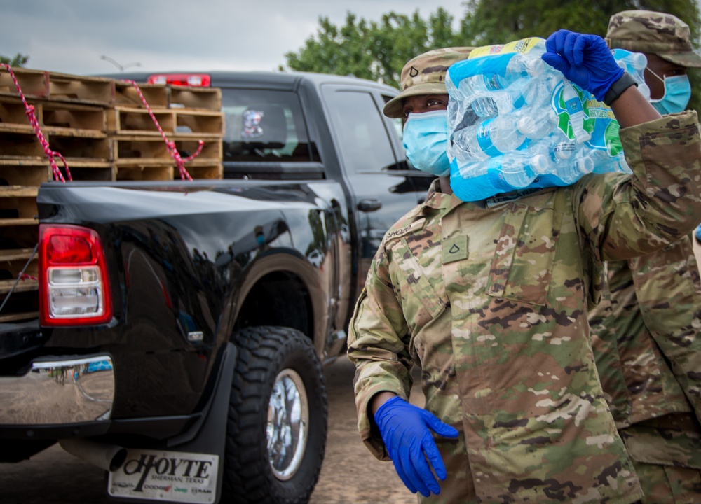 Texas Air National Guard