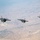 U.S. and Israeli F-35s participate in exercise Enduring Lightning III