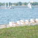 Groundbreaking ceremony for seawall repairs at Ralph C. Wilson, Jr. Centennial Park