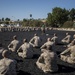 Kilo Company MCMAP Class