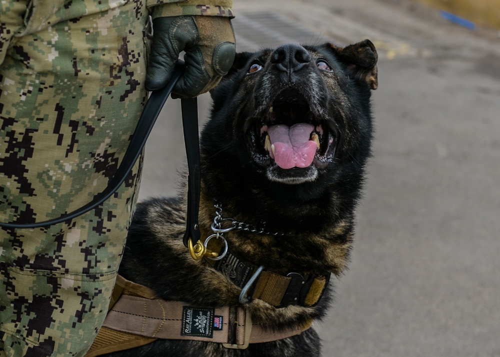 CAMP LEMONNIER REMEMBERS 9/11