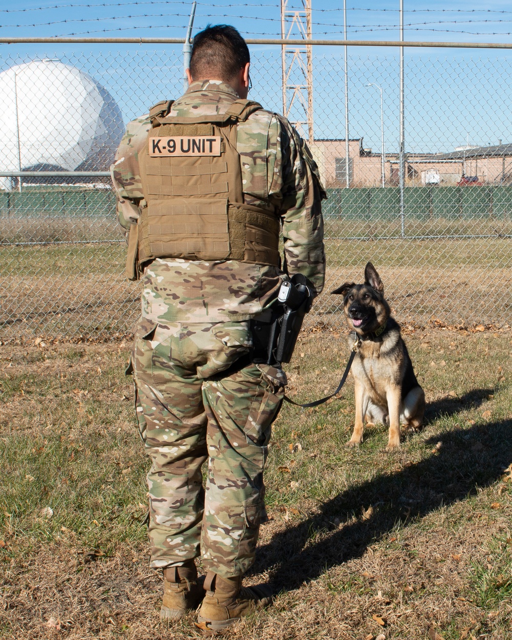 DOD/MWD K-9 Obstacle course