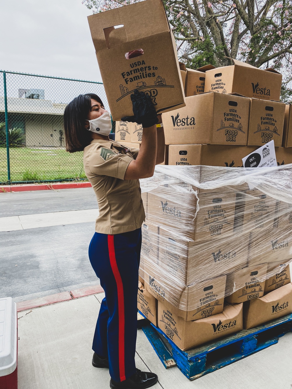 Love Drops: Marines give back to those in need