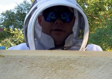 Checking the frame
