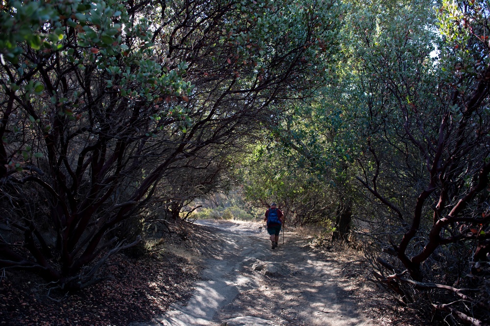 The indefinite temporary: 2020 teaches lessons in gratitude, personal growth