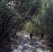 The indefinite temporary: 2020 teaches lessons in gratitude, personal growth