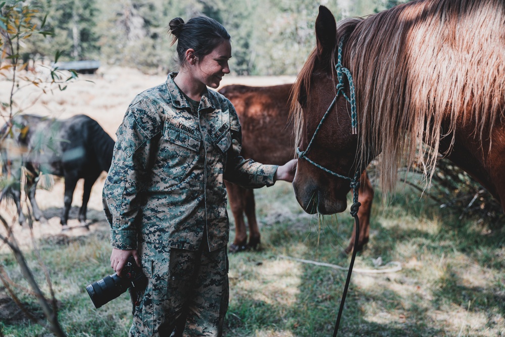 Animal Packing at Marine Corps Mountain Warfare Training Center