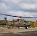 12th CAB improves interoperability with NATO Allies during Royal Blackhawk 2020