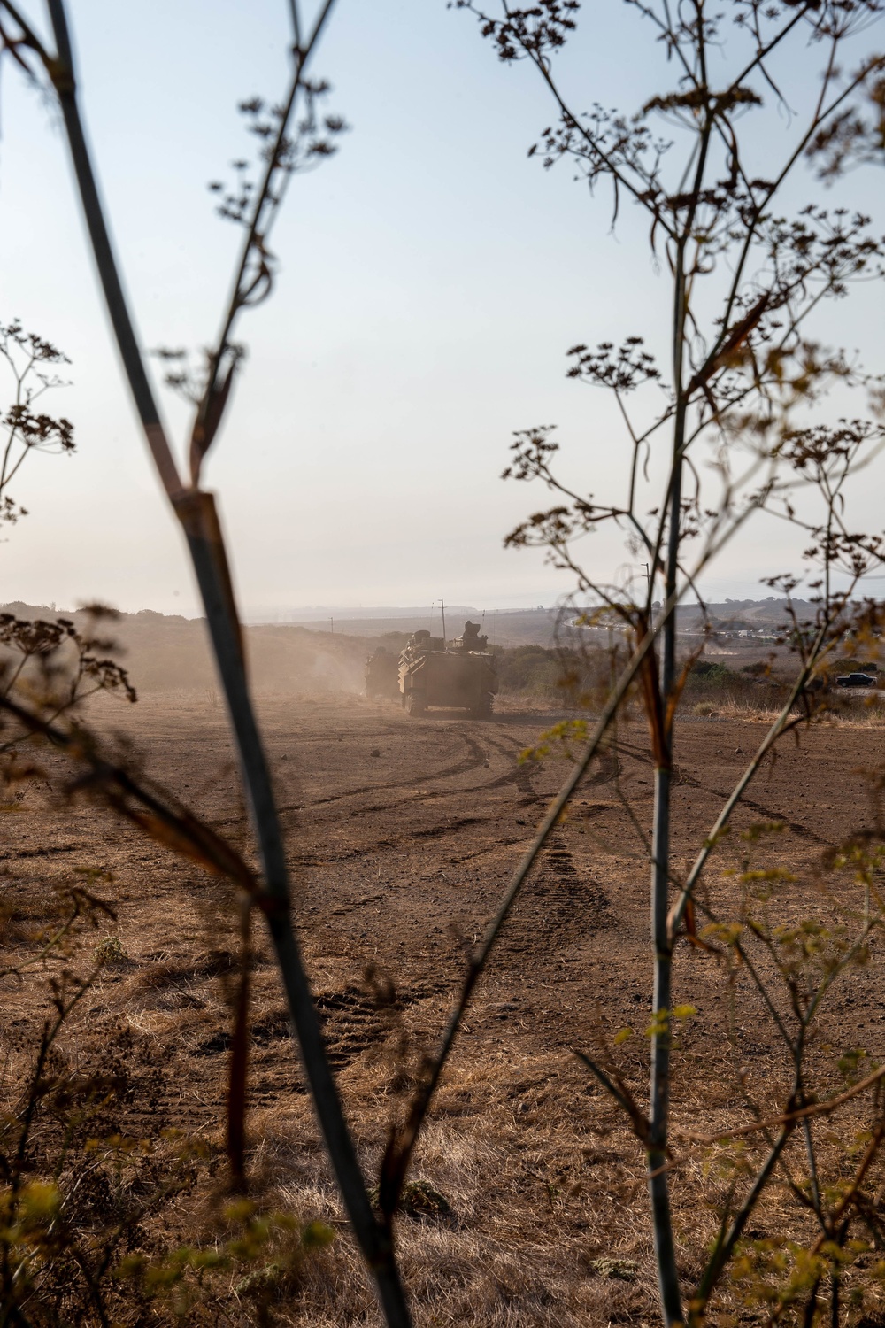 1st Battalion 1st Marines conduct mechanized during V11's MCCRE