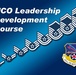 NCO Leadership development