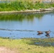 Port Clinton coastal restoration project