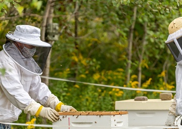 Environmental program generates a lot of buzz at OIB installation